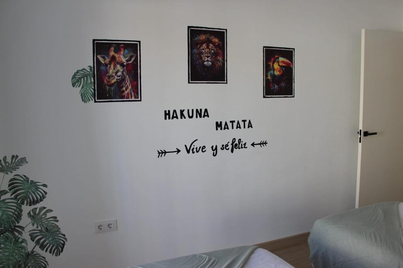 Appartement Piso Centrico Con Parking Gratis